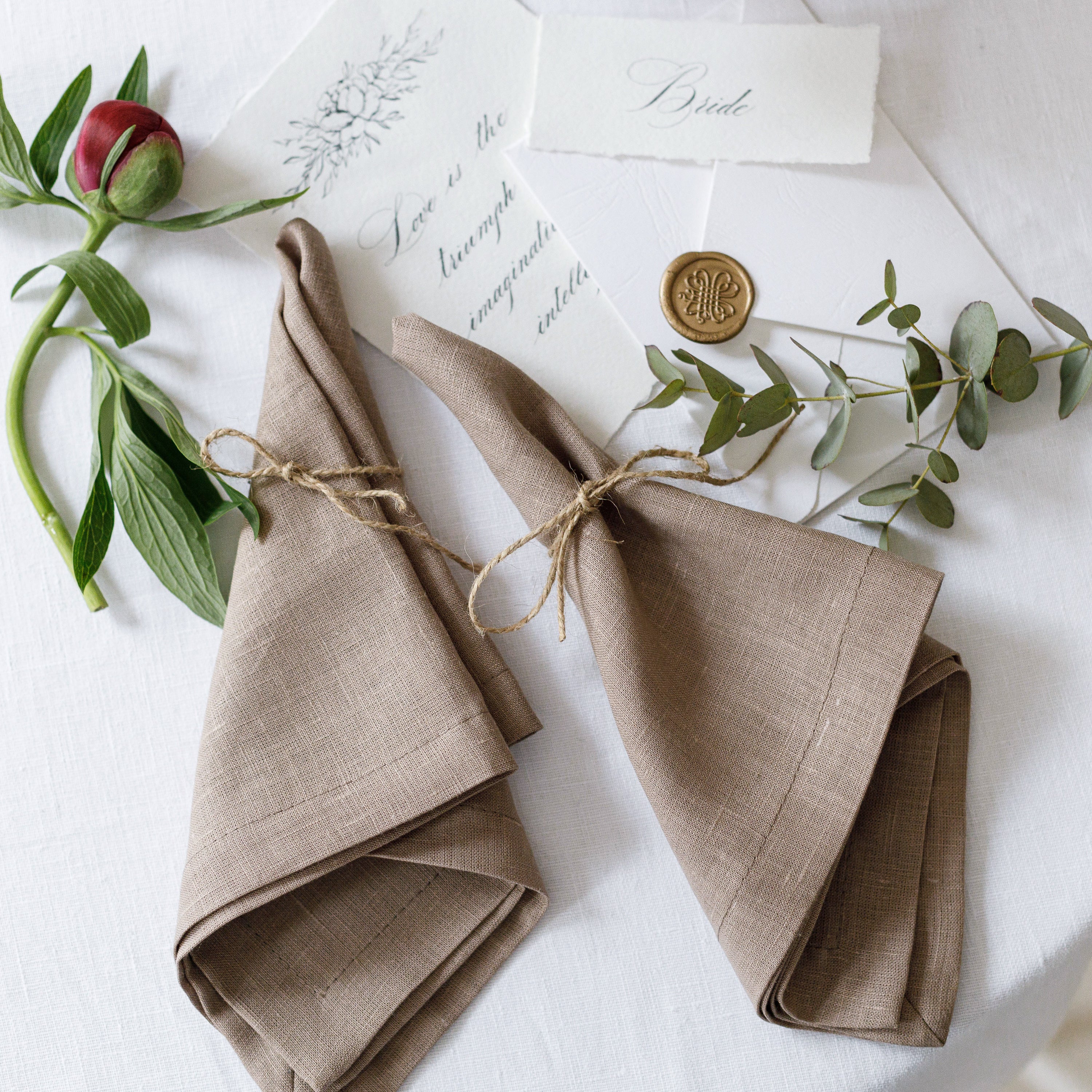 Chocolate Brown Cloth Linen Napkin Set - Beanchy